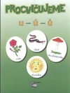 Procvičujeme psaní -u,-ú,-ů + klíč - pracovní sešit