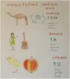 Rod podstatných jmen - mužský, ženský, střední