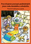 Procvičujeme pravopis podstatných jmen rodu ženského a středního - pracovní sešit