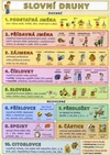 Slovní druhy (tabulka 1xA5)