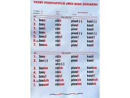 Vzory podstatných jmen - ženský rod - nástěnný obraz ( 67x96 cm bez lišt )