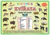 Zvířata exotická 2 - (sada 24 karet A7)
