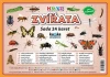 Zvířata hmyz - (sada 24 karet A7)