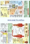 Biologie člověka - TABULKA 2xA4