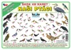 Naši ptáci - (sada 48 karet A7)