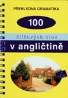 Přehledná gramatika - 100 klíčových slov v angličtině / DOPRODEJ
