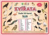Zvířata ptáci - (sada 24 karet A7)