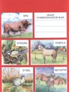 Psaní vyjmenovaných slov A4