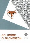 Co umíme o slovesech