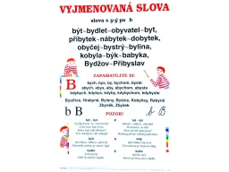 Vyjmenovaná slova po B - nástěnný obraz ( 67x96 cm bez lišt )