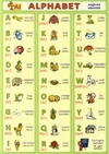 Anglická abeceda ALPHABET  (tabulka 1x A5)