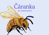 Český jazyk – Čáranka pro vázané písmo