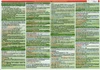 Německá literatura (Deutsche literatur) - TABULKA A4