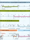 Náhradní časová přímka k učebnici Vlativěda 5.ročník  (významné události nových českých dějin)