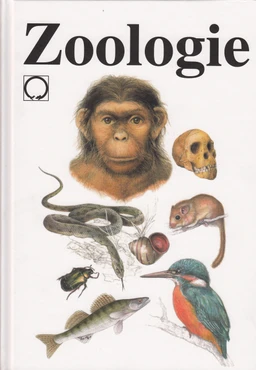 Zoologie