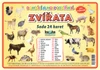 Zvířata domácí a hospodářská - (sada 24 karet A7)